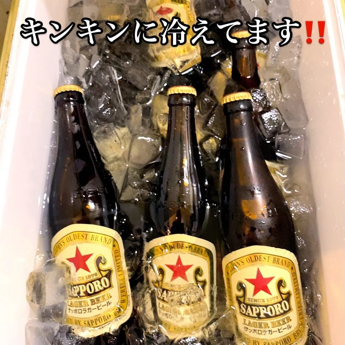 今宵も17時から、オープンです❣️