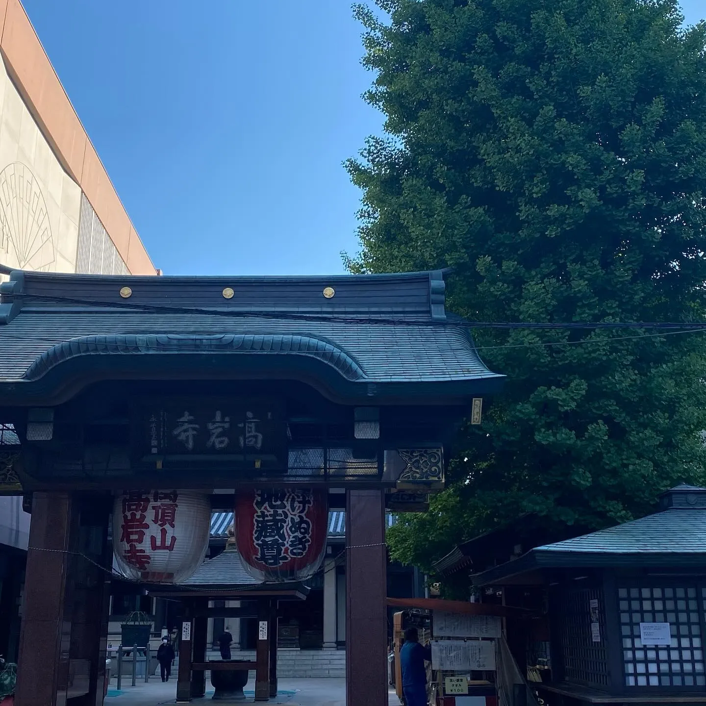 おはようございます☀️