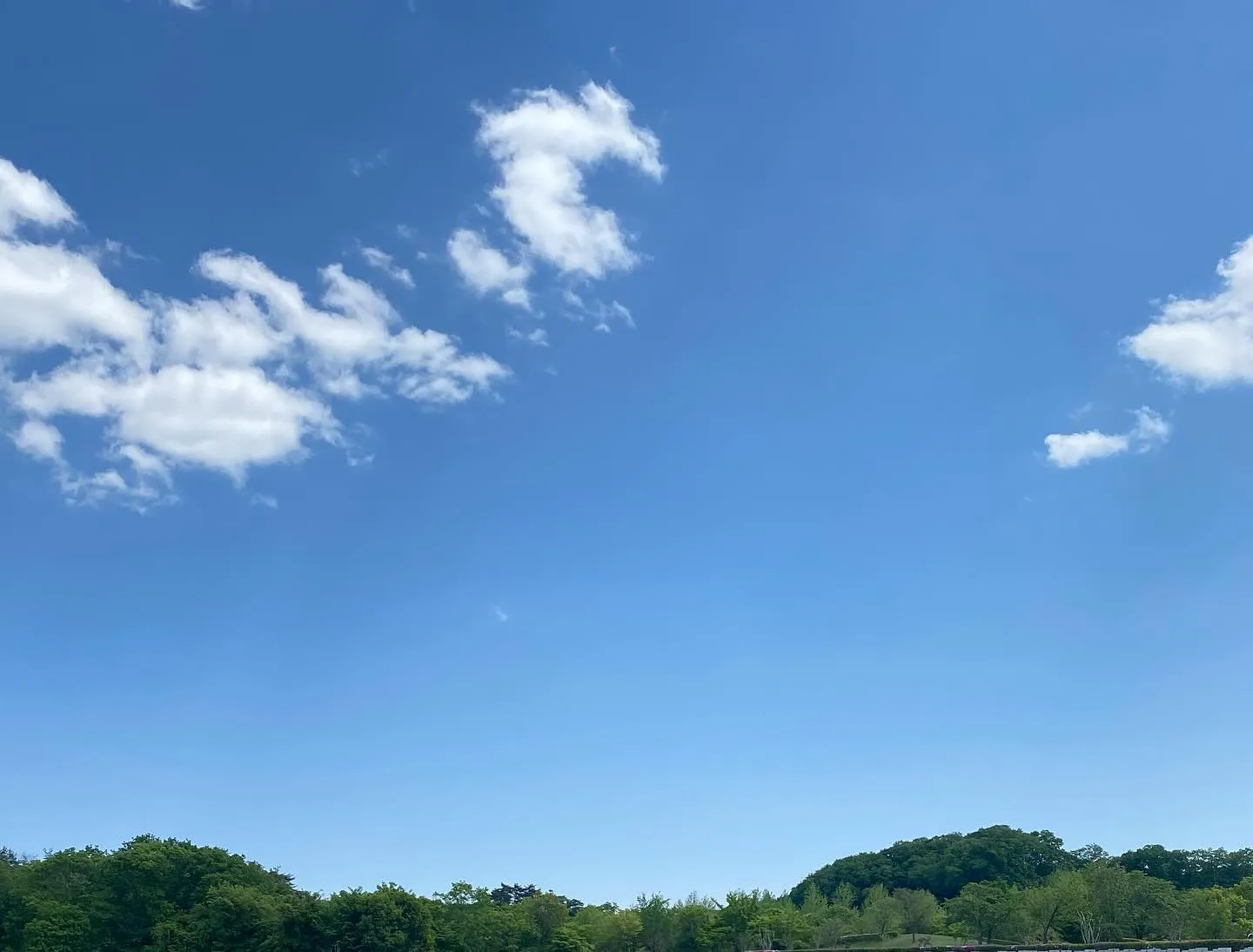 今日は、私の母の祥月命日