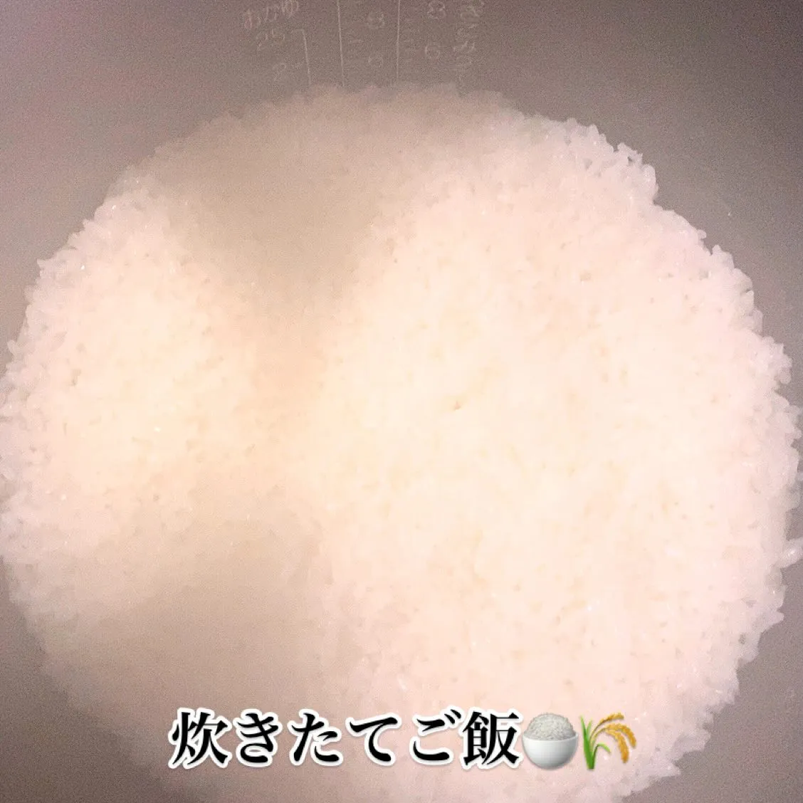 おはようございます☀️