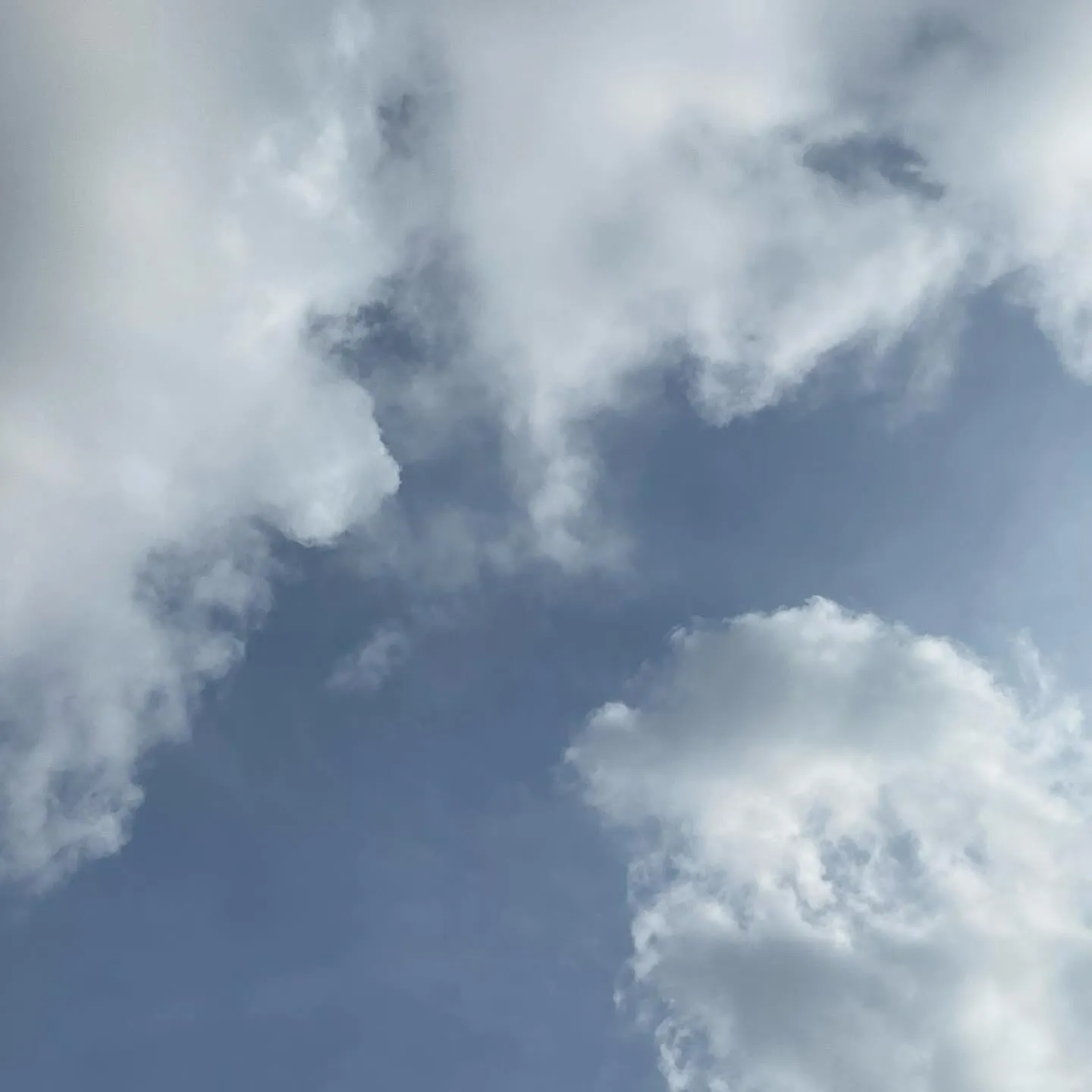 おはようございます☀️