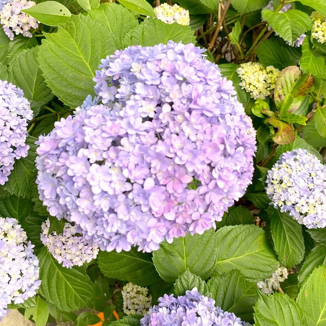 お疲れ様です。