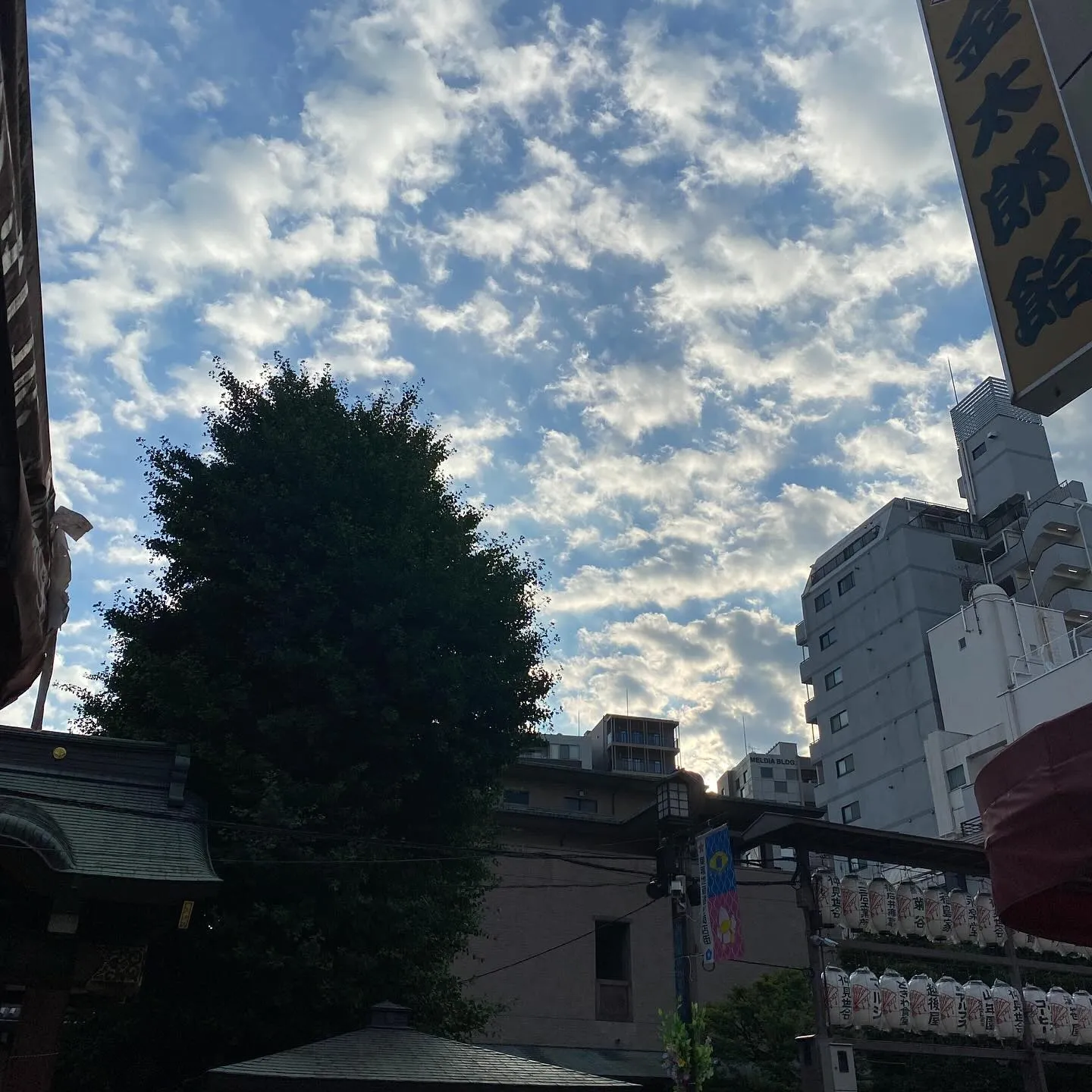 おはようございます☀️