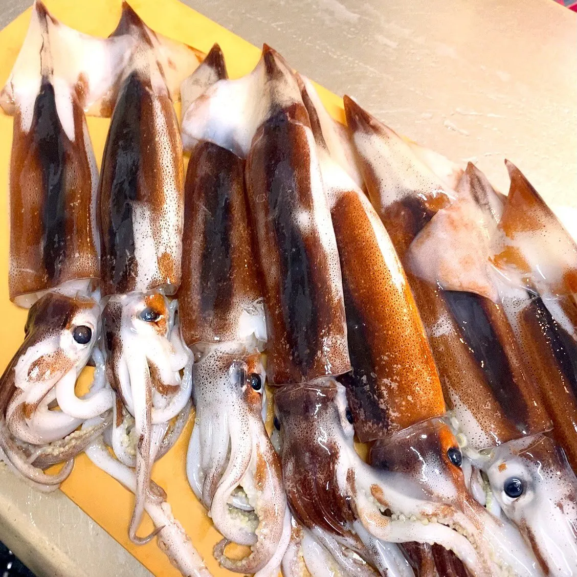 お疲れ様です‼️