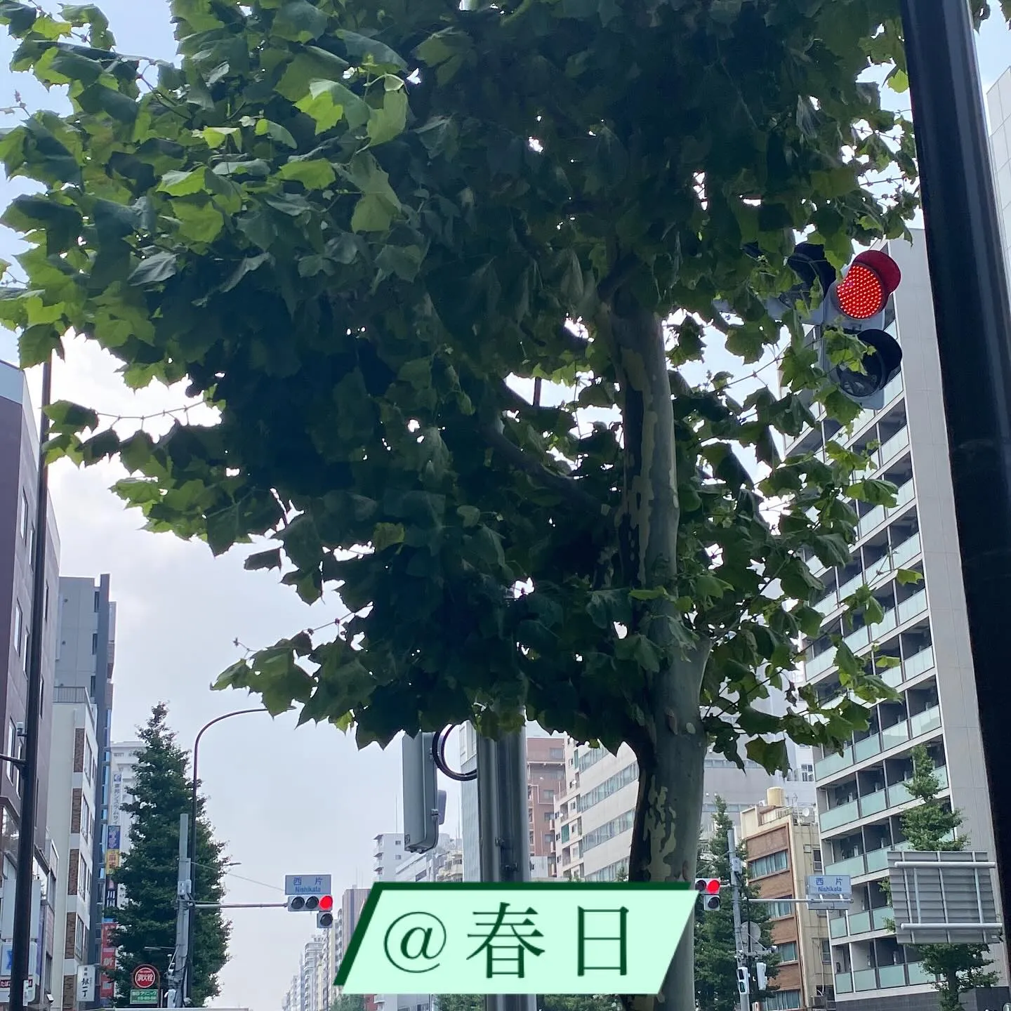 #テイスティングスタディ 🍶