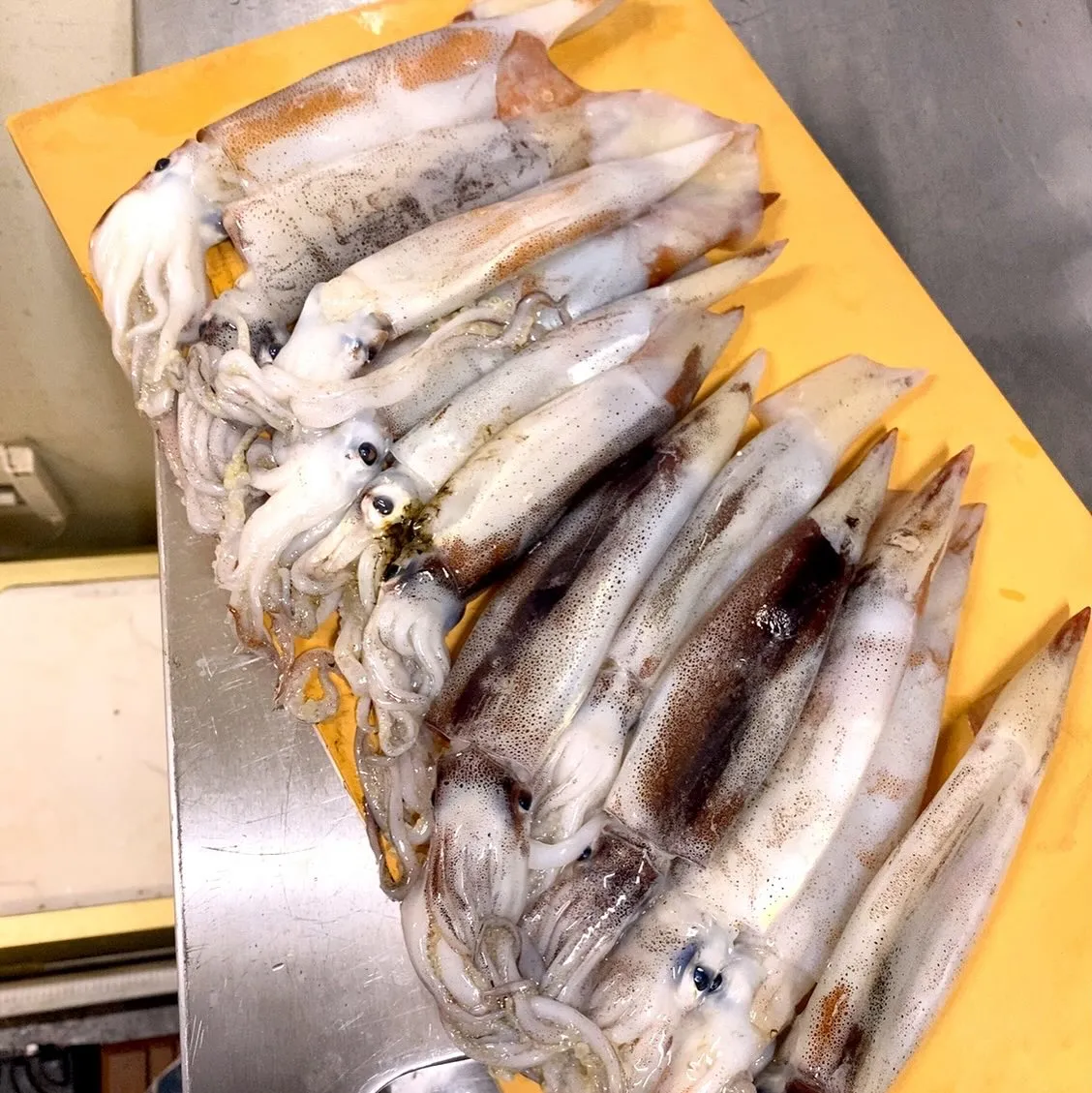 旬の食材スルメイカ🦑