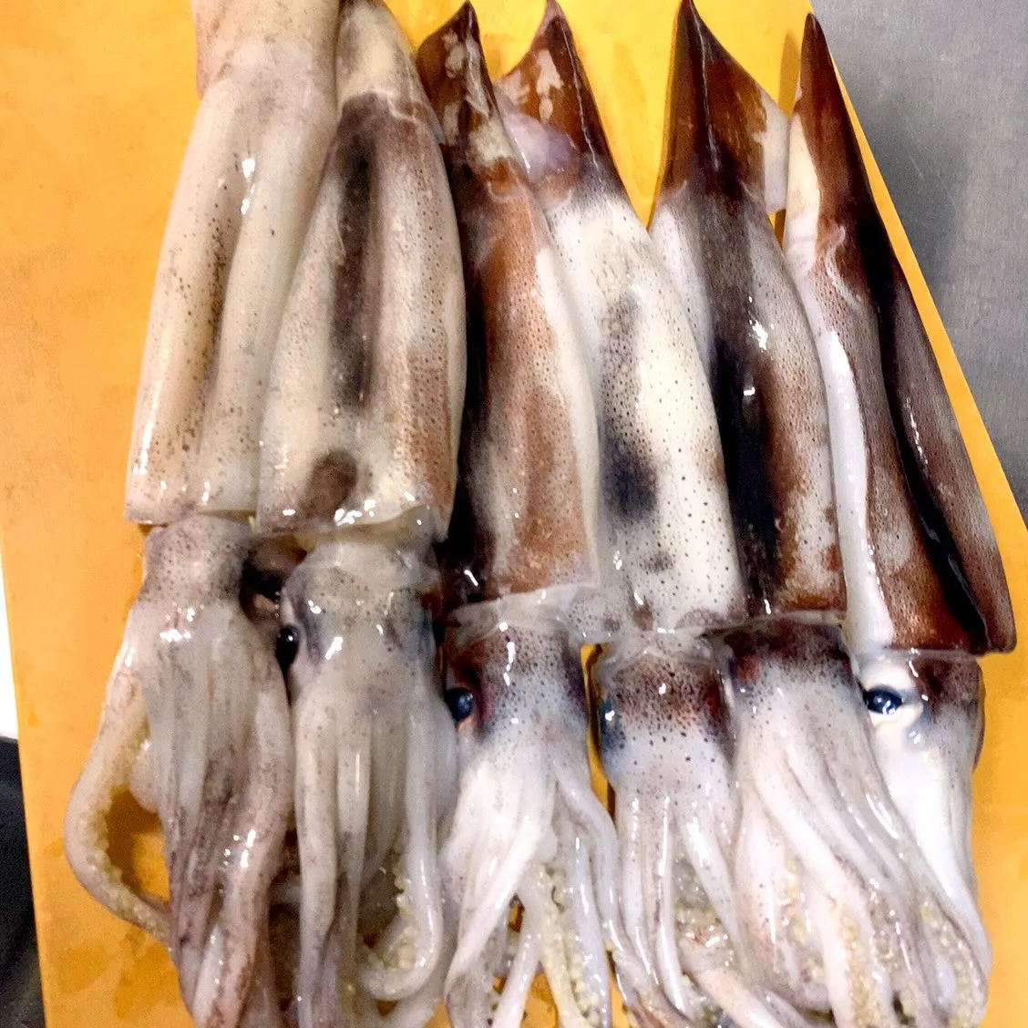 本日のおつまみ魚🐟