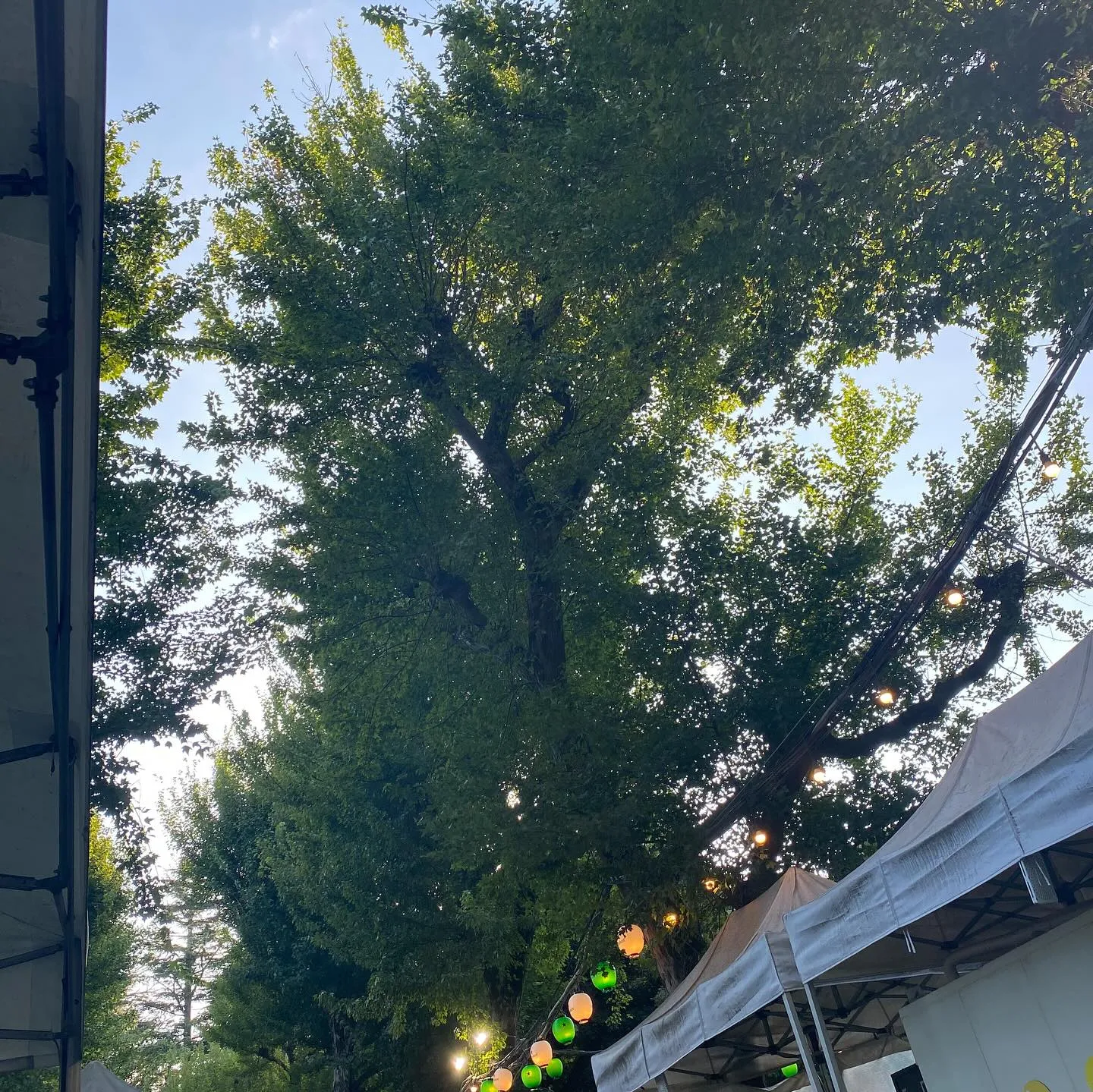 Xのフォロワーさんからお誘い頂きまして😆