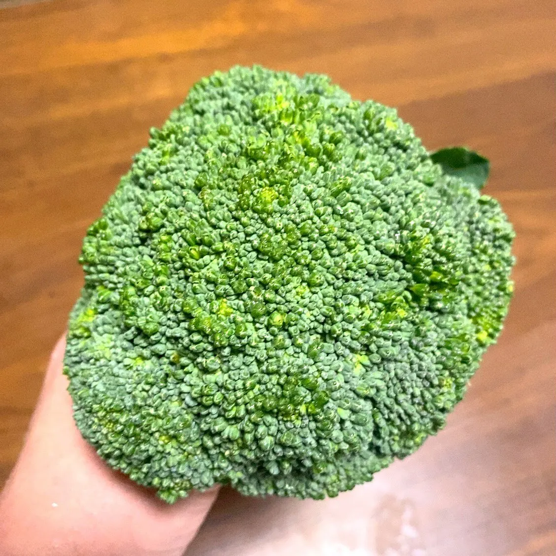 おはようございます☀️