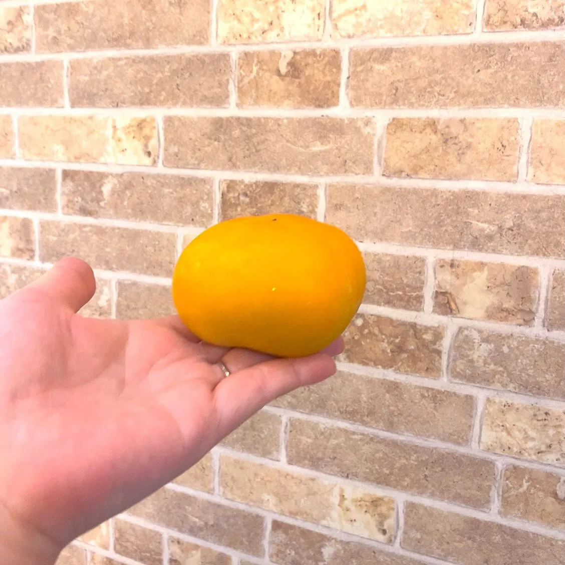 柿が店頭に並び始めましたね😆✨