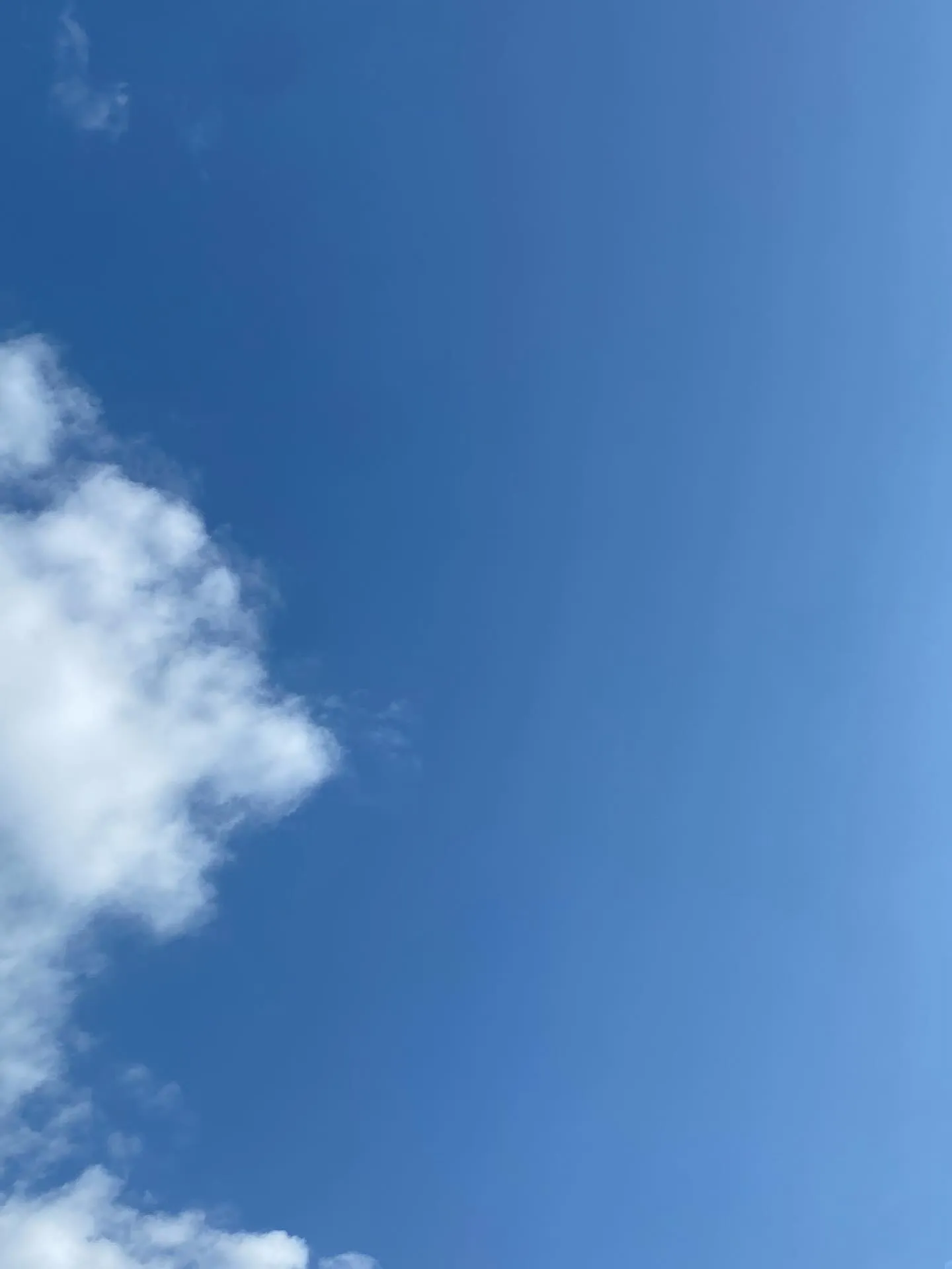 おはようございます☀️