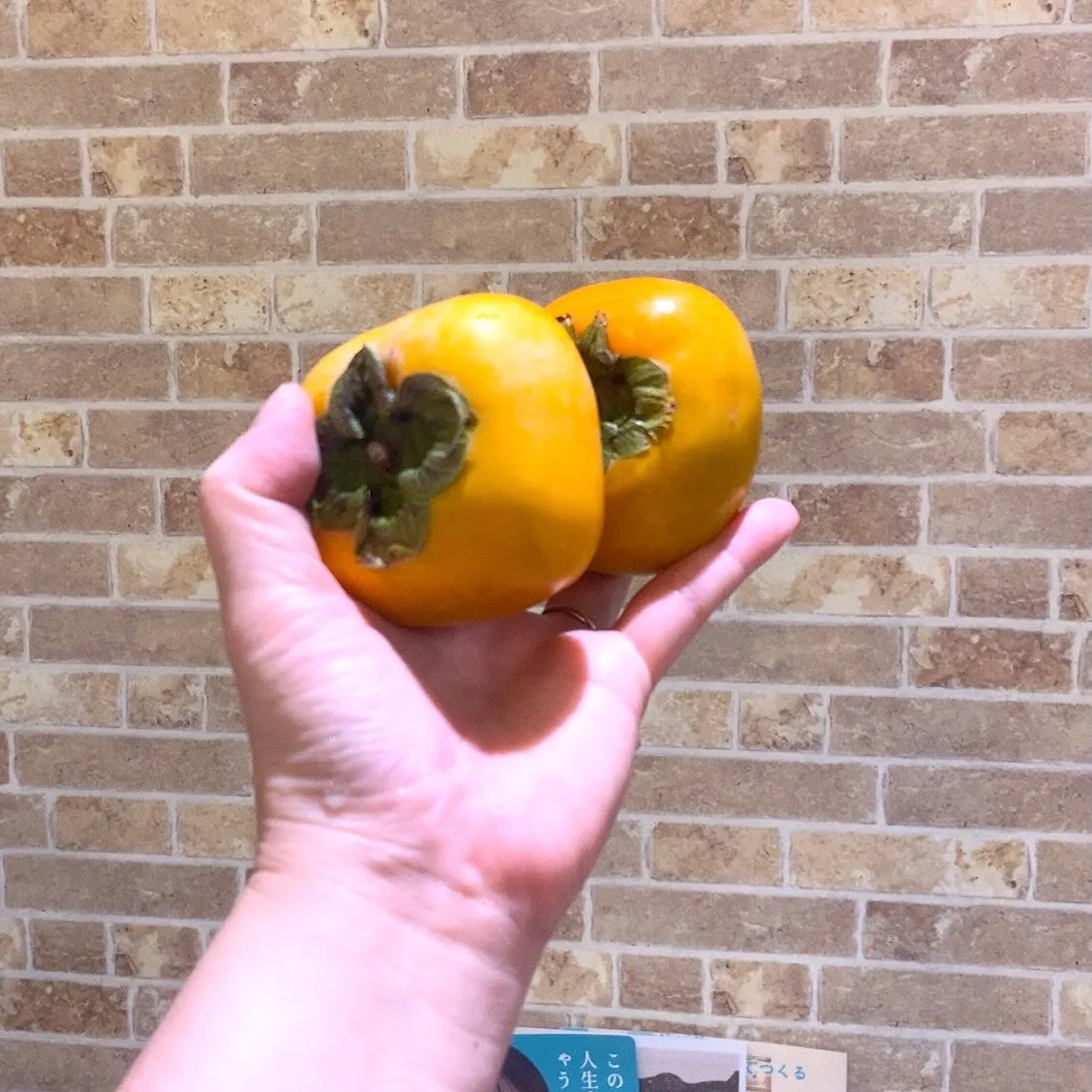 お疲れ様です。