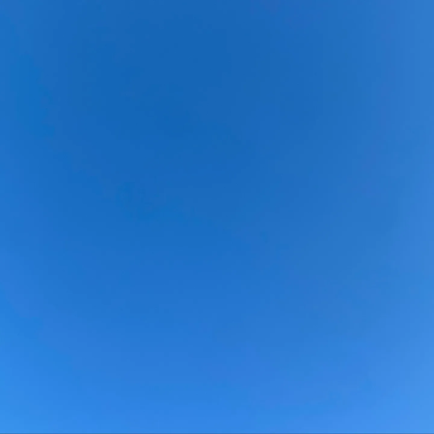 おはようございます☀️