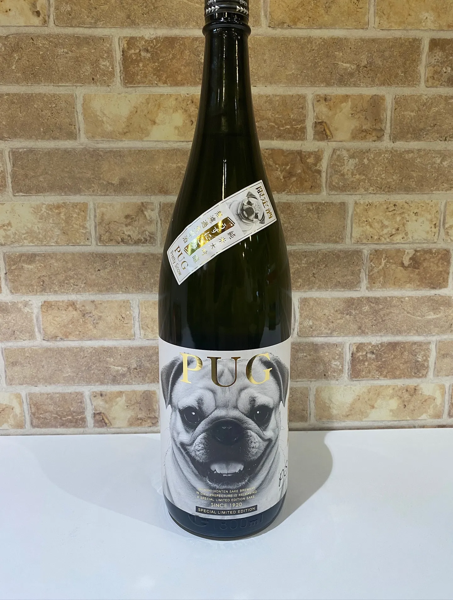 可愛いパグ❤️❤️❤️