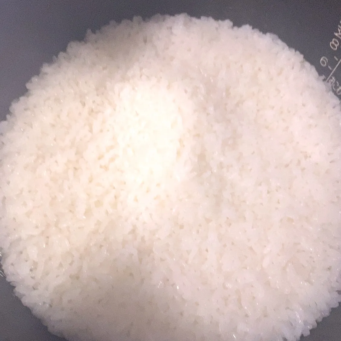 おはようございます☀️