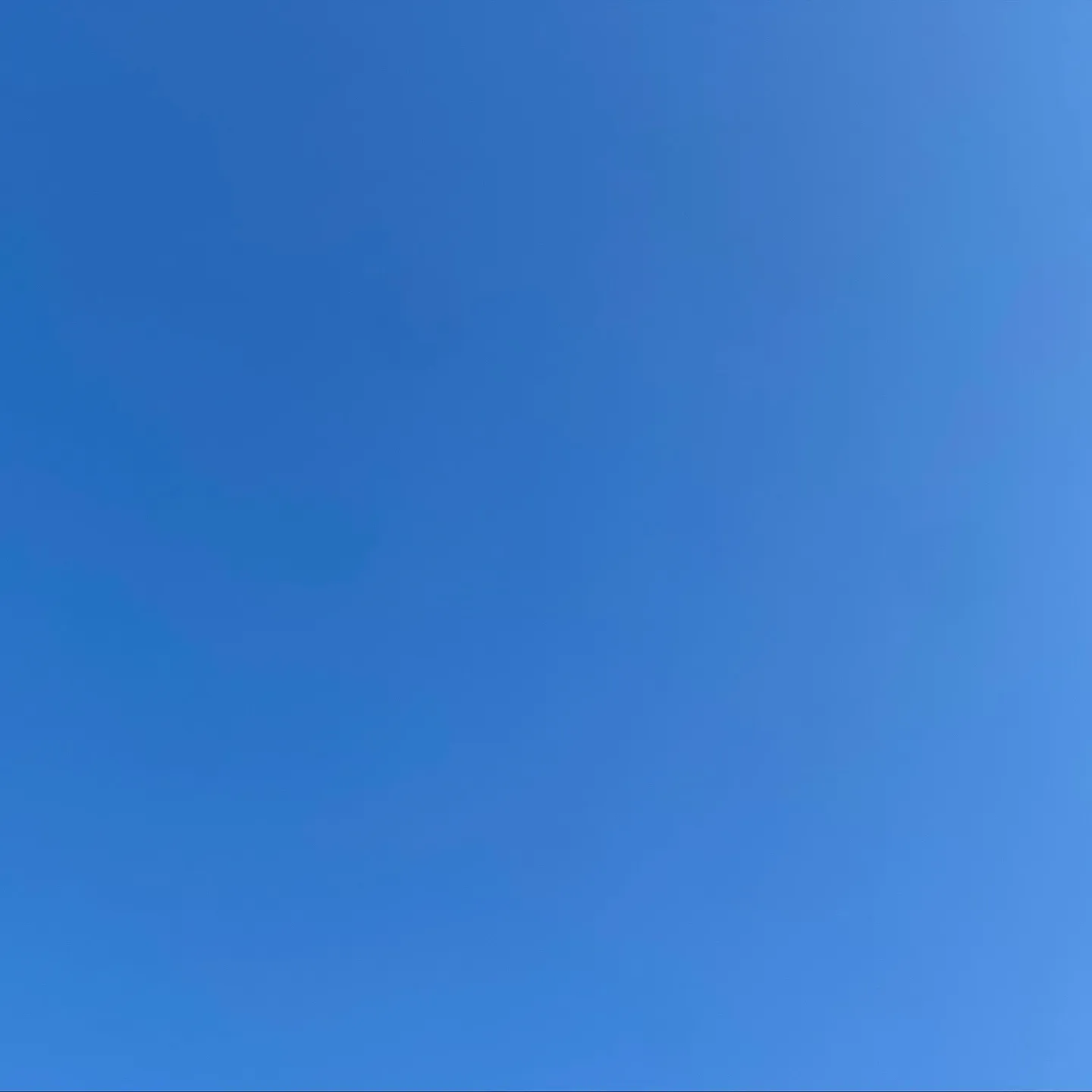 おはようございます☀️。°