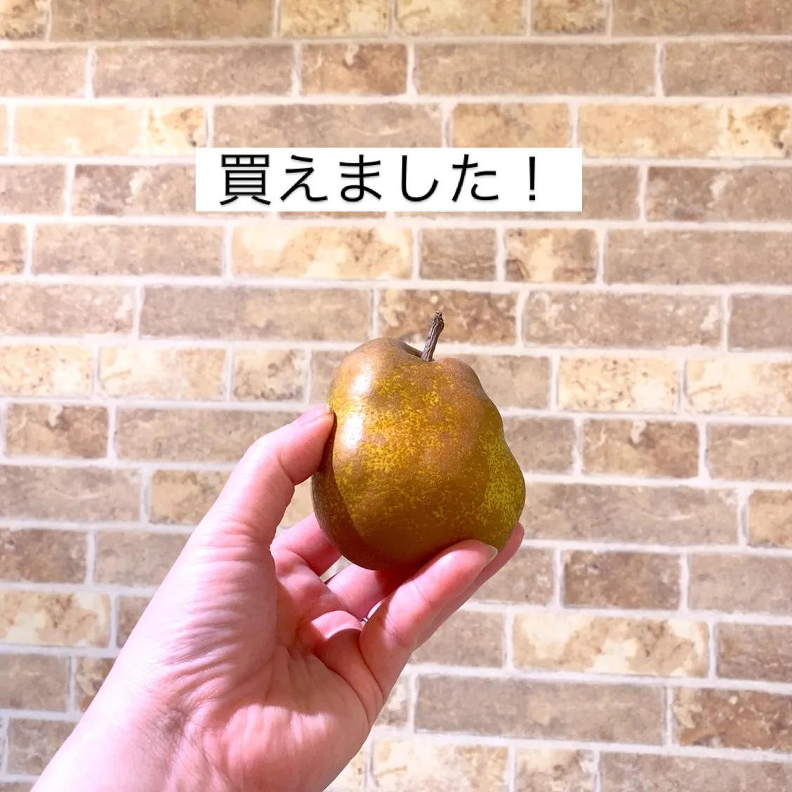 大塚セルフ酒場たむさんです✨