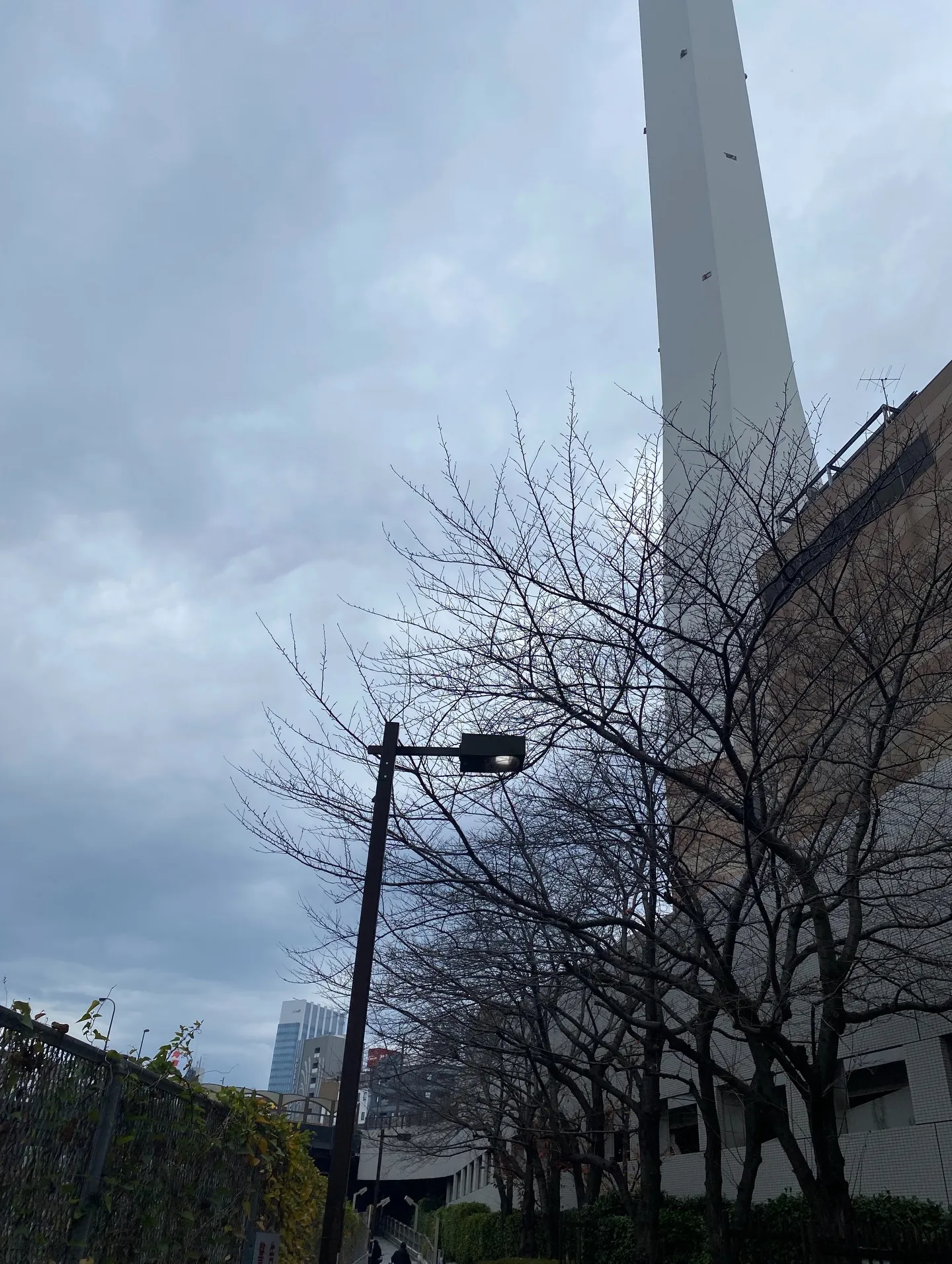 乳がん検診のマンモグラフィ終了‼️