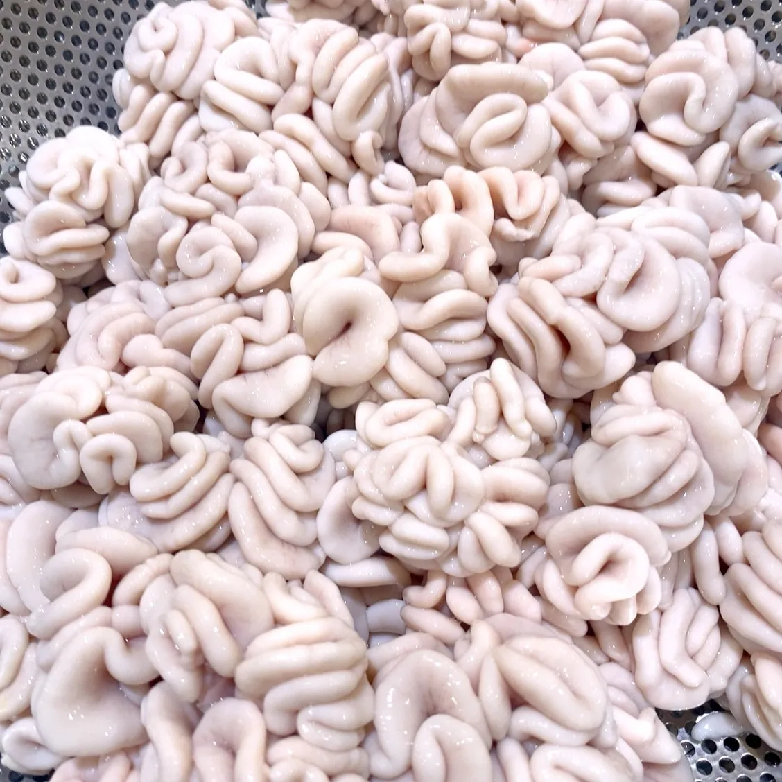 今宵は、昨日よりも多くご用意しております‼️