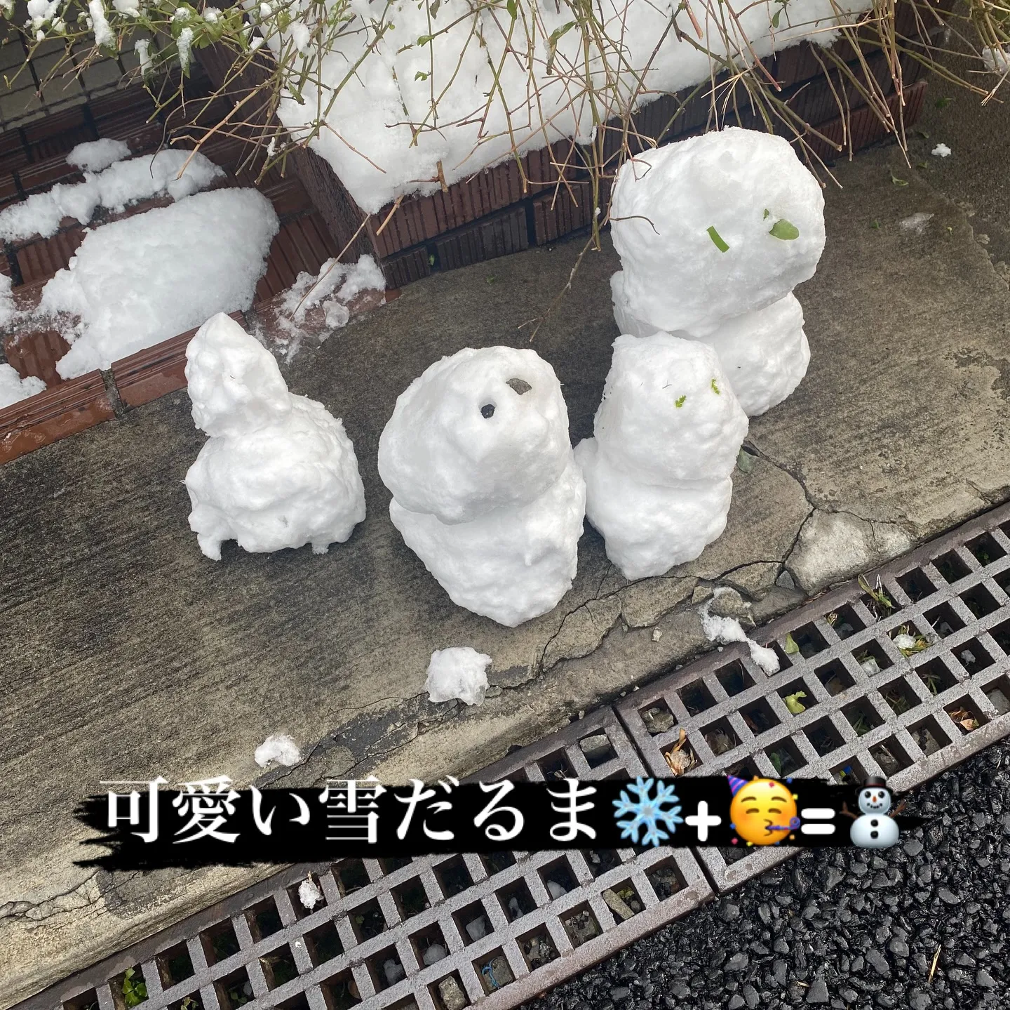 雪予報❄️ 