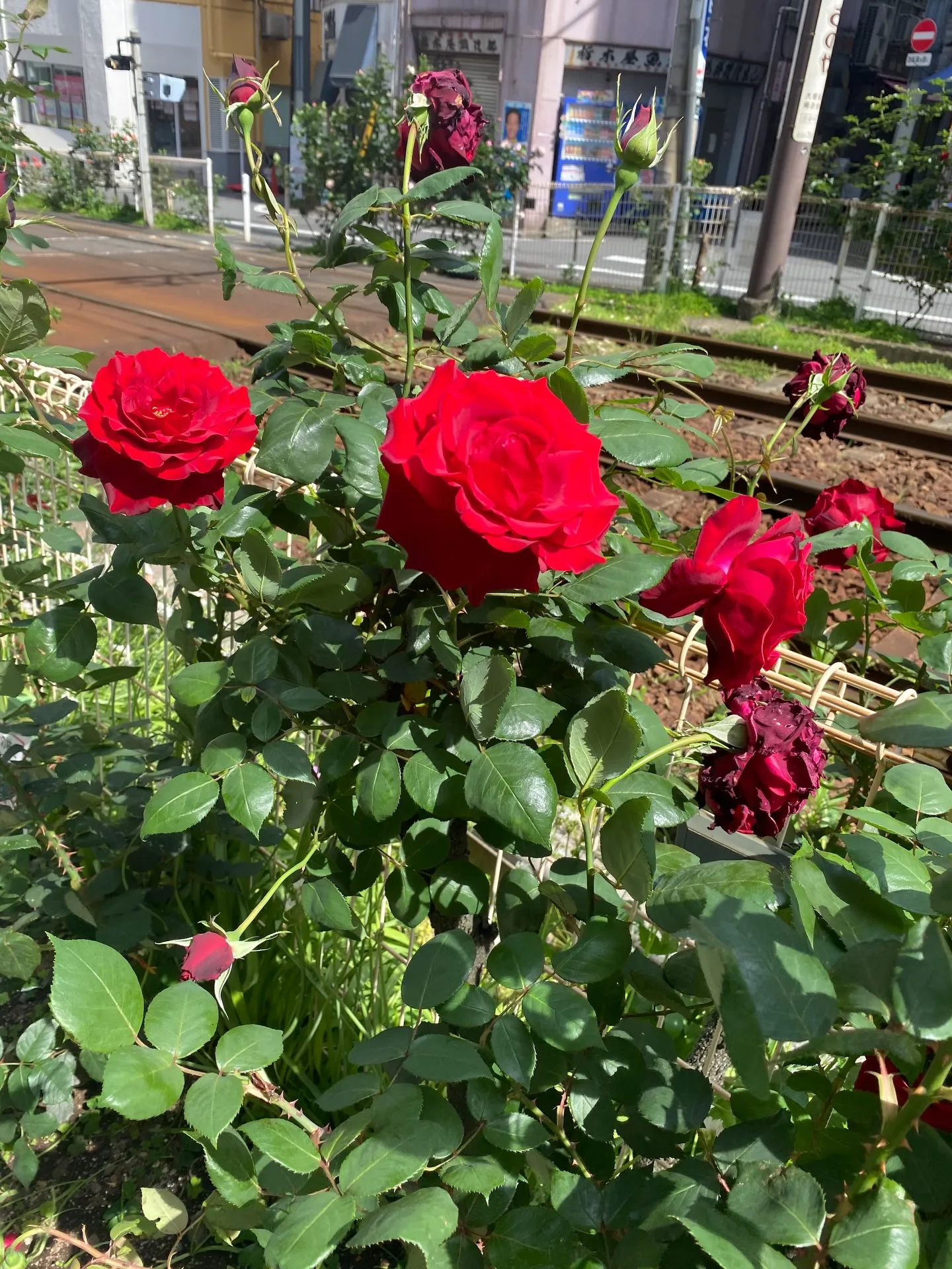 お疲れ様です❣️