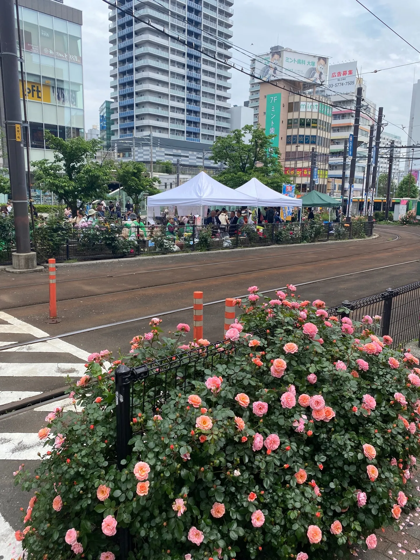 お疲れ様です❣️