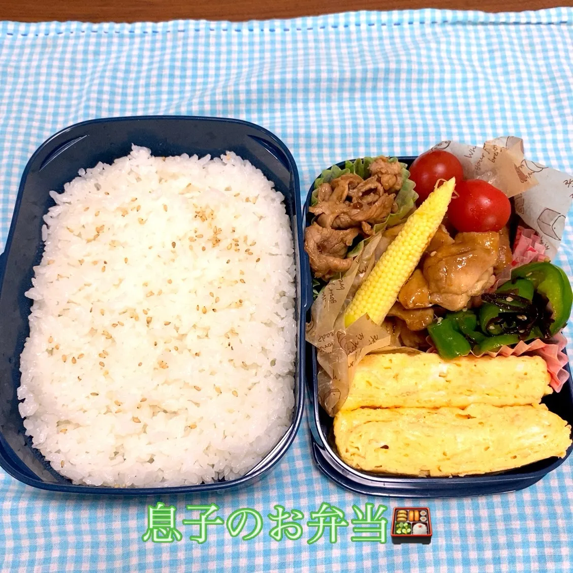 おはようございます☀️