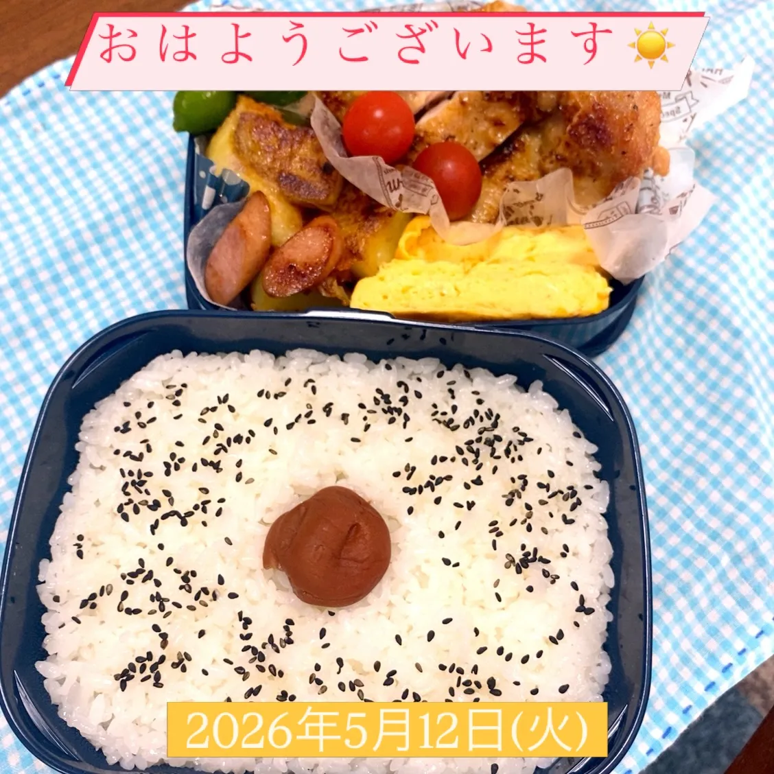 おはようございます☀️