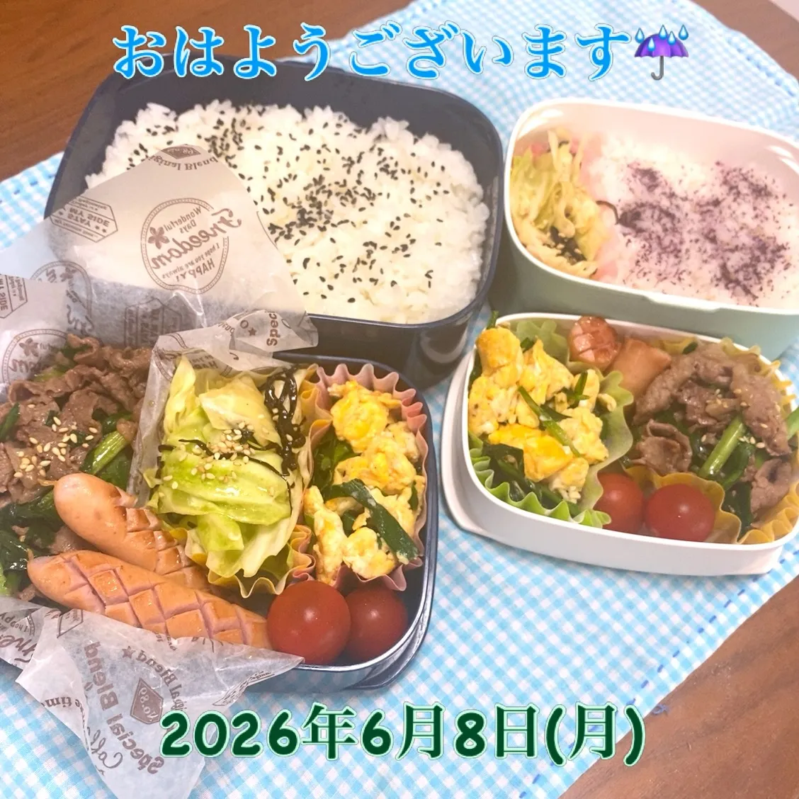 おはようございます☔️🐌🐸🩵🌕
