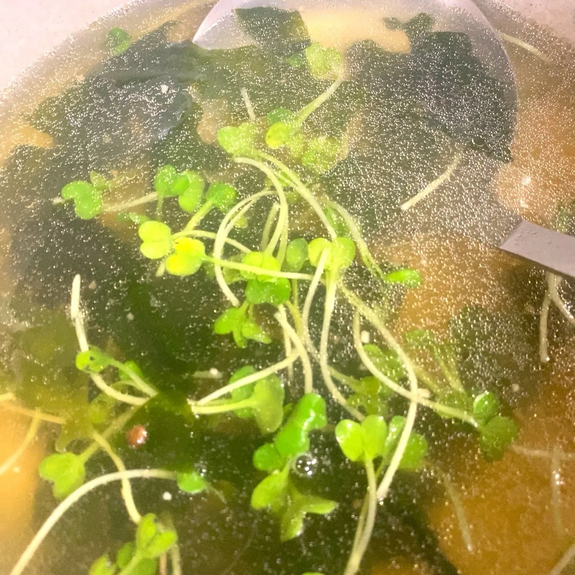 おはようございます☀️