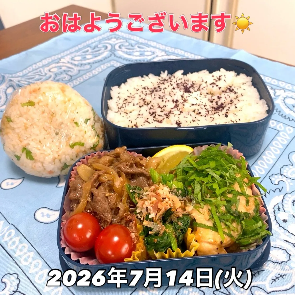 おはようございます☀️