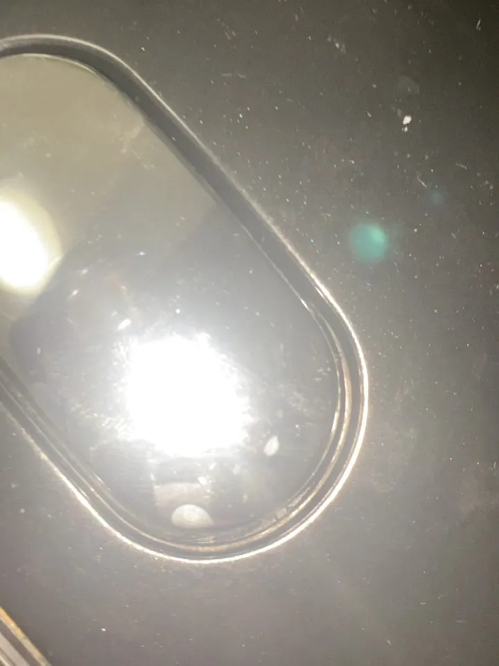 今日は、アサリといくらだよ😆✨✨✨