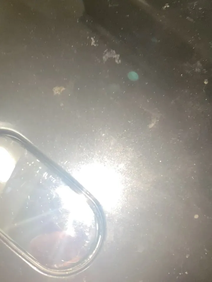 今日、お弁当いらないの知らなくて買ってた鮭ハラス。