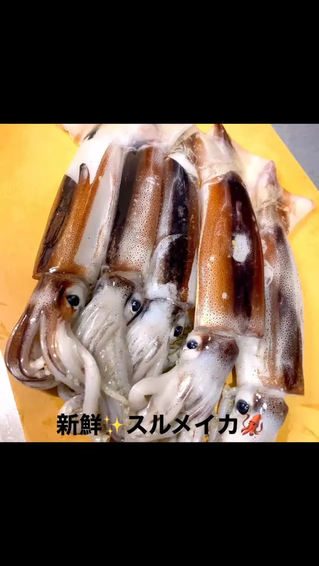 お疲れ様です‼️